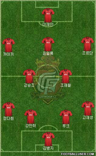 Gyeongnam FC Formation 2012