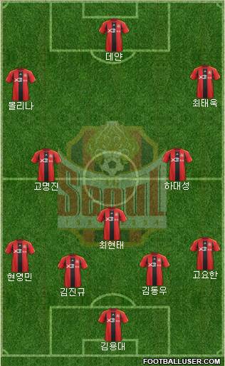 FC Seoul Formation 2012
