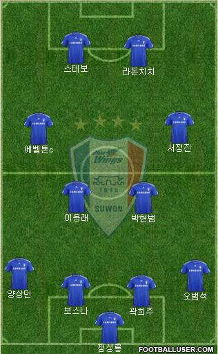 Suwon Samsung Blue Wings Formation 2012
