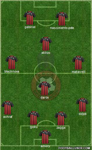 OGC Nice Côte d'Azur Formation 2012