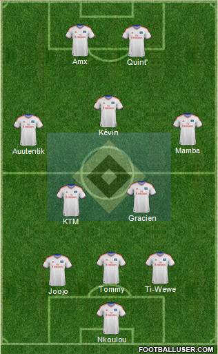 Hamburger SV Formation 2012