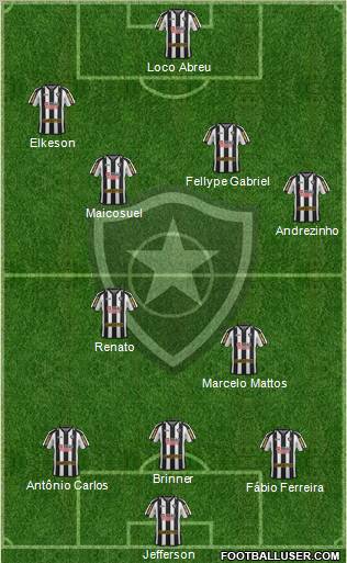 Botafogo FR Formation 2012