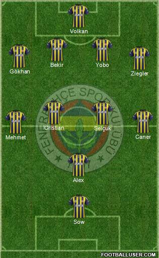 Fenerbahçe SK Formation 2012
