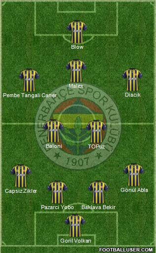 Fenerbahçe SK Formation 2012