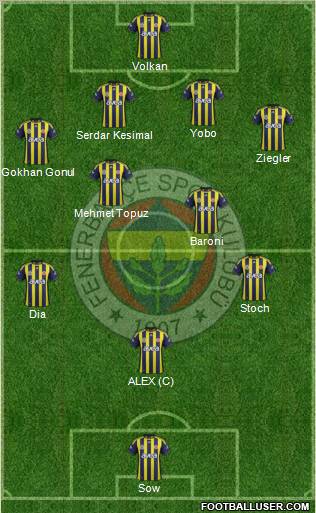 Fenerbahçe SK Formation 2012