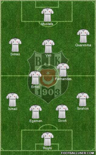 Besiktas JK Formation 2012