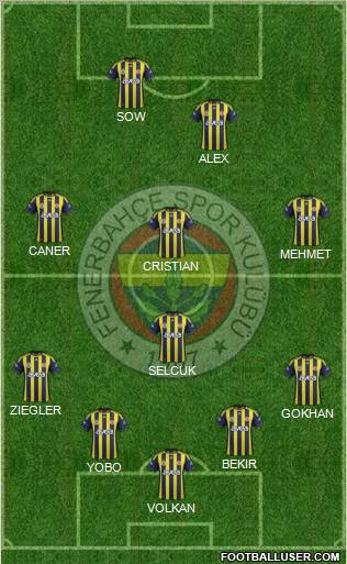 Fenerbahçe SK Formation 2012