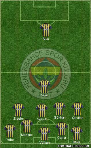 Fenerbahçe SK Formation 2012