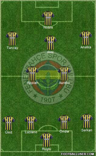 Fenerbahçe SK Formation 2012