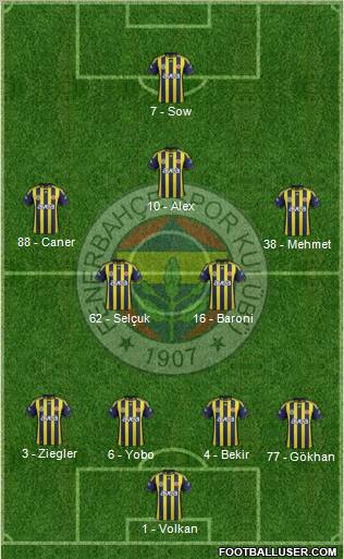 Fenerbahçe SK Formation 2012