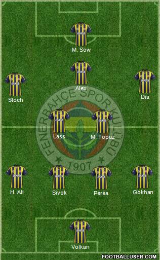 Fenerbahçe SK Formation 2012