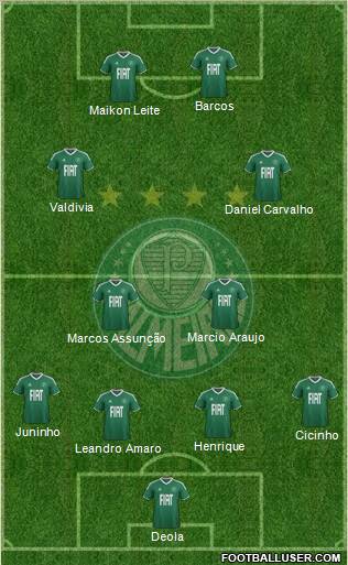 SE Palmeiras Formation 2012