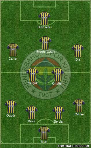 Fenerbahçe SK Formation 2012