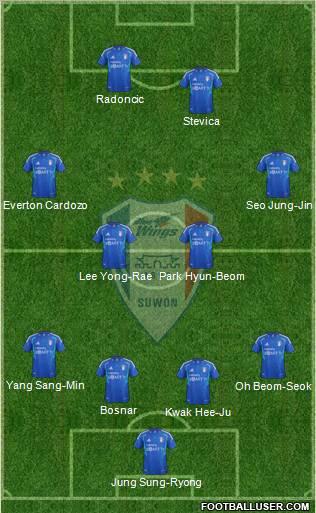 Suwon Samsung Blue Wings Formation 2012