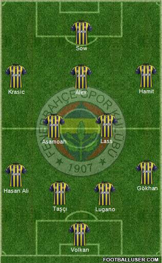Fenerbahçe SK Formation 2012