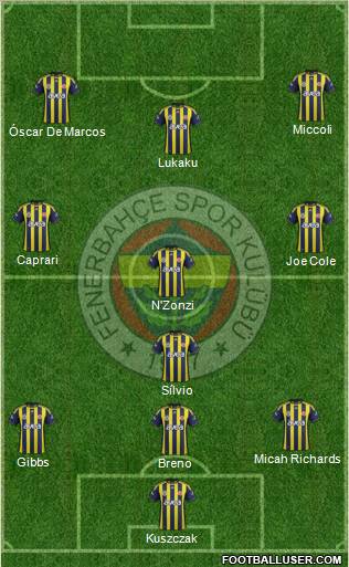 Fenerbahçe SK Formation 2012