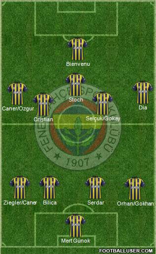 Fenerbahçe SK Formation 2012