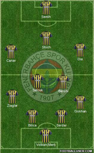Fenerbahçe SK Formation 2012