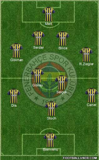 Fenerbahçe SK Formation 2012