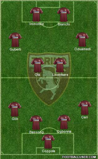 Torino Formation 2012