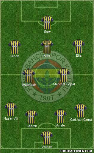 Fenerbahçe SK Formation 2012