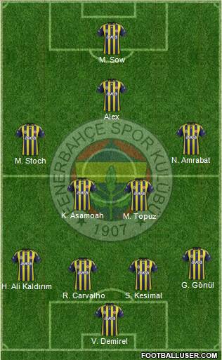 Fenerbahçe SK Formation 2012