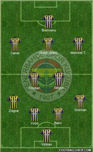 Fenerbahçe SK Formation 2012