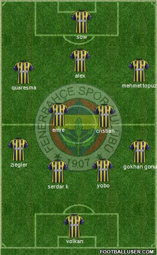 Fenerbahçe SK Formation 2012