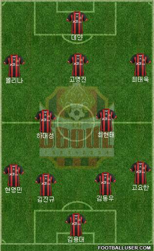FC Seoul Formation 2012