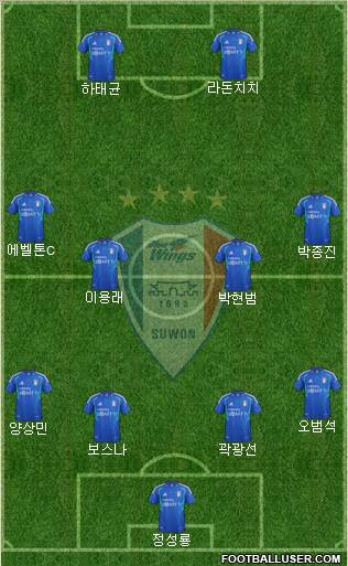 Suwon Samsung Blue Wings Formation 2012