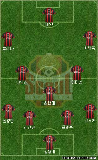 FC Seoul Formation 2012