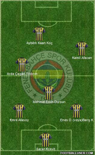 Fenerbahçe SK Formation 2012
