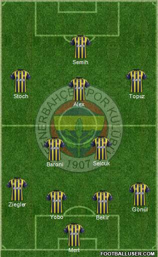 Fenerbahçe SK Formation 2012