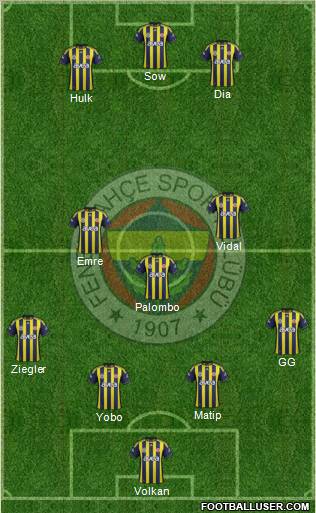 Fenerbahçe SK Formation 2012