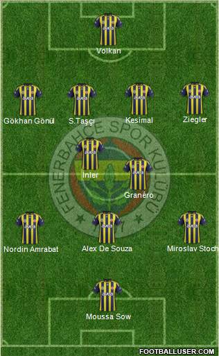Fenerbahçe SK Formation 2012