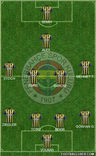 Fenerbahçe SK Formation 2012