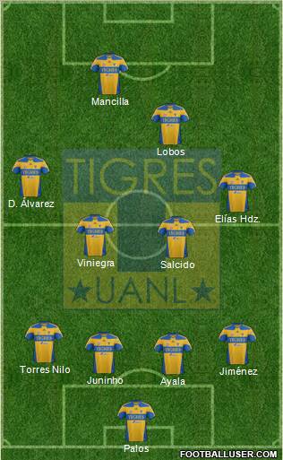 Club Universitario de Nuevo León Formation 2012