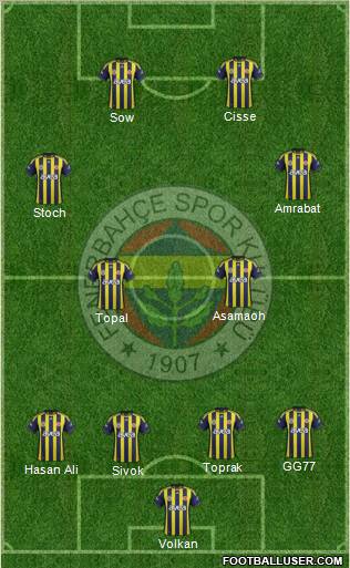 Fenerbahçe SK Formation 2012