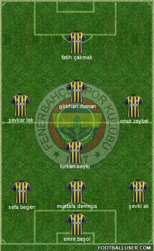 Fenerbahçe SK Formation 2012