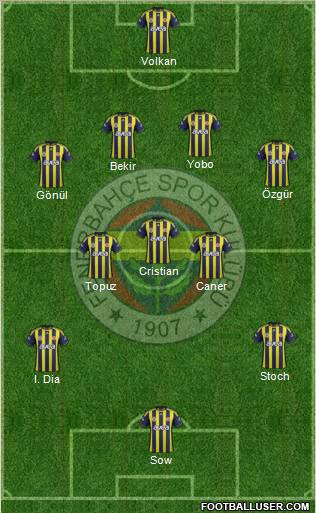 Fenerbahçe SK Formation 2012