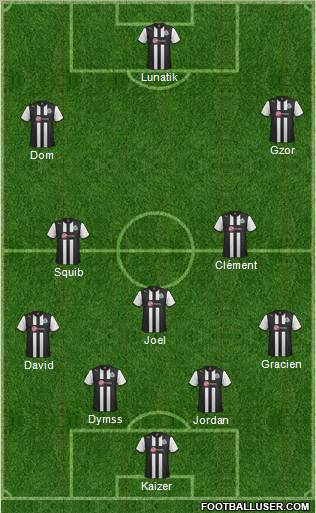 Newcastle United Formation 2012