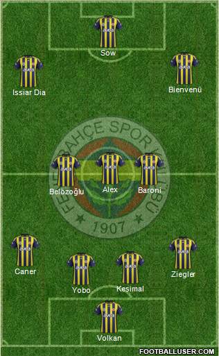 Fenerbahçe SK Formation 2012