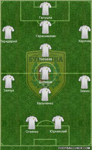 Bukovyna Chernivtsi Formation 2012