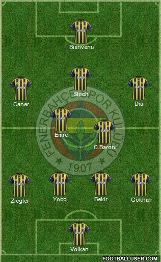 Fenerbahçe SK Formation 2012
