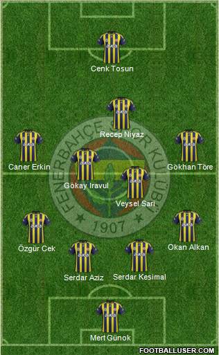 Fenerbahçe SK Formation 2012