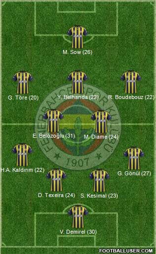 Fenerbahçe SK Formation 2012