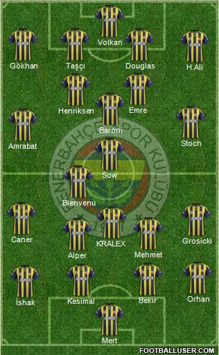 Fenerbahçe SK Formation 2012