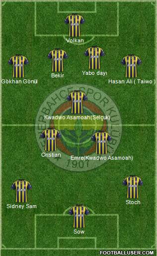 Fenerbahçe SK Formation 2012