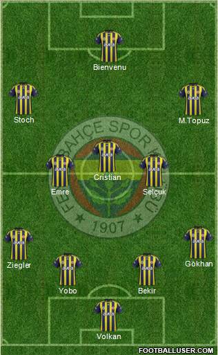 Fenerbahçe SK Formation 2012