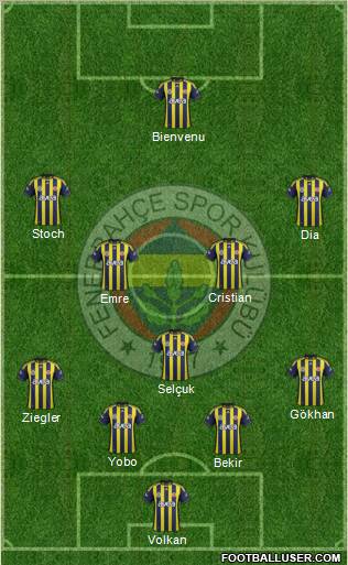Fenerbahçe SK Formation 2012
